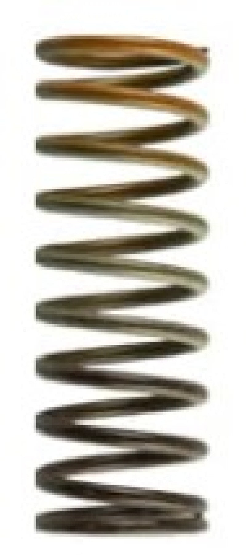 Wastegate Springs Wastegate Springs