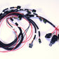 Fast Coil Harness, Coyote, Xr-1A Coils