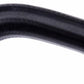 Gates 03-05 Mazda 6 V-6 3.0L Lower - Rad. To Pipe Molded Coolant Hose