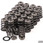GSC P-D Nissan VQ35 Conical Valve Spring and Titanium Retainer Kit
