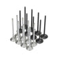 Skunk2 Alpha Series Honda K20C1 Valve Set (Standard Compression)