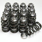 GSC P-D SR20 Single Spring w/ Titanium Retainer Valvetrain Kit