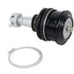Whiteline 05-21 Nissan Frontier Fixed Offset UCA Replacement Ball Joint Kit