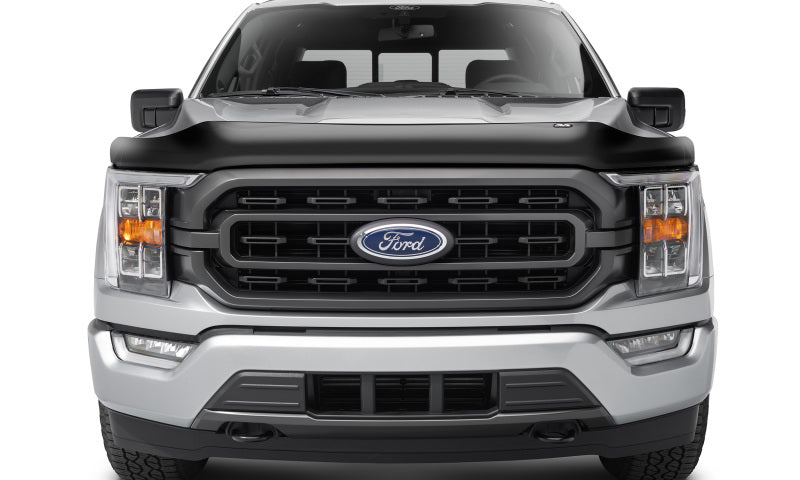 Stone/Bug Deflectors