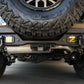DV8 Offroad Elite Series D-Ring Shackles - Pair (Black)