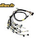 Rywire Honda B-Series w/Haltech Elite Eng Harn (4 Inj No EMAP/Boost/ Adapter Req / Drop Ship Only)