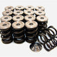 GSC P-D Honda B-Series Vtec Dual Spring Set and Titanium Retainer