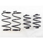 RS-R 13+ Nissan Sentra (TB17 (B17)) Down Sus Springs