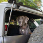 DV8 Offroad 2021-2024 Ford Bronco Dog Barrier
