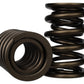 Ford Racing Replacement Valve Springs (TVS-1734) - Set Of 8