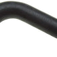 Gates 80-86 Jeep CJ Series 6-Cyl. 4.2L Lower Molded Coolant Hose