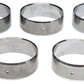 Clevite 77-81 Buick Century Performance Cam Bearing Set