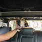 DV8 Offroad 2021-2024 Ford Bronco Dog Barrier