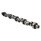 Edelbrock Chrysler 273-360 SB Rollin Thunder Camshaft - Hydraulic Roller