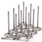 GSC P-D Nissan VR30DDTT 33.3mm Head STD 101.1mm Long Intake Valve - Set of 12