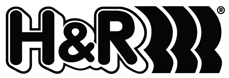 H&R 18-22 Tesla Model 3 Long Range/Performance AWD 21mm Adj. 2 Hole Sway Bar - Rear