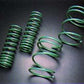 Tein 06+ Charger V8 5.7L R/T (exc Self Levelizer model) S Tech Springs