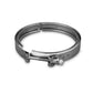 Industrial Injection 6in V-Band Clamp