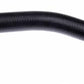Gates 04-06 Suzuki Verona 6-Cyl. 2.5L Lower Molded Coolant Hose