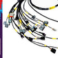 Rywire K-Series Naturally Aspirated w/LINK G4 ECU Engine Harness (w/4 Inj / No EMAP/Boost)