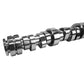 COMP Cams 7.3L Godzilla Stage 1 NSR/NTR Hydraulic Roller Camshaft