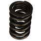 Ford Racing Replacement Valve Springs (TVS-1734) - Set Of 8