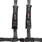 PRP 4.2 Harness - New Glory
