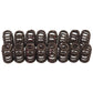 Edelbrock Chevy LS V8 Sure Seat Valve Springs