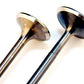 BLOX Racing High Compression Intake Valve Set For D-series SOHC VTEC (D16Z-Y)