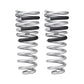 Eibach 4th Gen RAM 2500 Pro Lift Kit HD Rear Springs