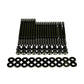 Wagner Tuning 06-10 Volkswagen Passat B6 3.6L R36 Burnished Head Stud Set