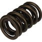Ford Racing  Replacement Hydraulic Roller Valve Spring - Single (For M-6049-SCJA)