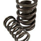 Comp Cams Dual Valve Springs w/ Damper 1.560 OD 1.900 IH .740 Lift - Single