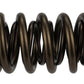 Ford Racing  Replacement Hydraulic Roller Valve Spring - Single (For M-6049-SCJA)