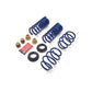 Ford Racing 2024 Mustang 2.3L Track Lowering Spring Kit