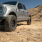 DV8 15-24 Ford F-150 Crew Cab - OE Plus Side Steps