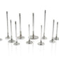Ferrea Toyota Supra B58 3.0L 28.mm 5.96mm 99.8mm 21 Deg Tpr Flo STD Comp Plus Exh Valve - Set of 12