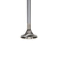 Manley 99-12 Ford 4.6L/281 5.4L/330 V8 37mm Race Series Stainless Steel Intake Valves (Set of 8)