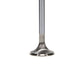 Manley Ford Modular Coyote 5.0L Gen III Race Master Series Exhaust Valve - 1.260in Dia