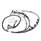 Rywire Honda K24 Tucked Eng Harn w/02-04 K24 Crank/Knock Sensor (Front VSS Position)