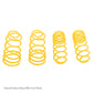 ST Sport-tech Lowering Springs Lexus GS-300
