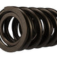 Ford Racing Replacement Valve Springs (TVS-1734) - Set Of 8