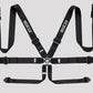 Sparco Belt H-3 Alu 6 Pt 3in. PD Blk