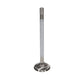 Manley Ford Modular Coyote 5.0L Gen III Race Master Series Exhaust Valve - 1.260in Dia