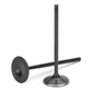 Supertech Peugeot 205 TU24 TU3 39.3x6.98x111.8mm Blk Nitrided Intake Valve - Single (Drop Ship Only)