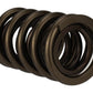 Ford Racing  Replacement Hydraulic Roller Valve Spring - Single (For M-6049-SCJA)