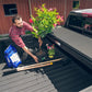 Extang 14-18 Chevy/GMC Silverado/Sierra 1500 (8ft. 2in. Bed) Solid Fold ALX