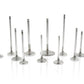Ferrea Chyrsler Big Block 2.02 Head 5/16 Stem Dia 6000 Series Competition Intake Valve - Set of 8