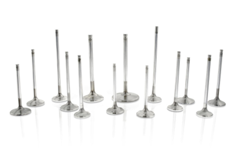 Ferrea Chyrsler Big Block 2.02 Head 5/16 Stem Dia 6000 Series Competition Intake Valve - Set of 8