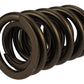 Ford Racing  Replacement Hydraulic Roller Valve Spring - Single (For M-6049-SCJA)
